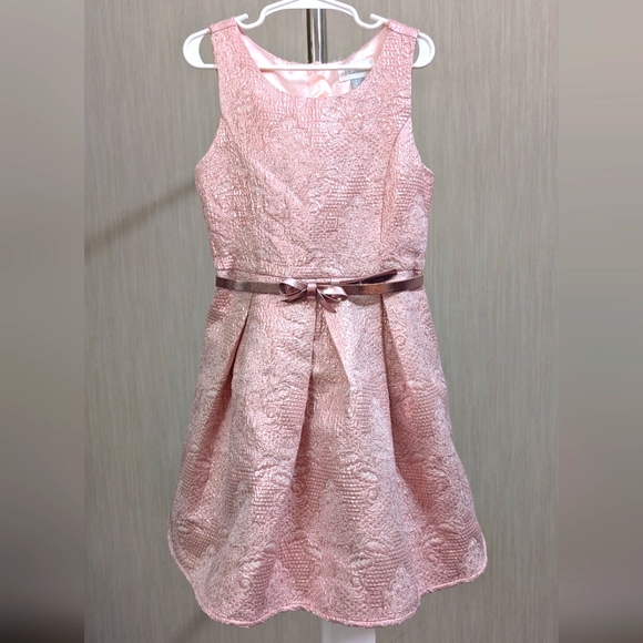 The Children's PLACE Pink Party Dress - Picture 1 of 14